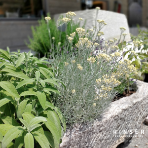 Pflanztröge Granitgrande Blumentröge