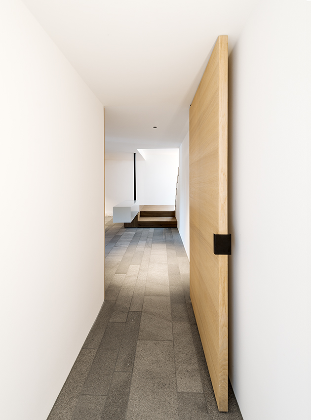 _AHA4424©a_hanebeck+