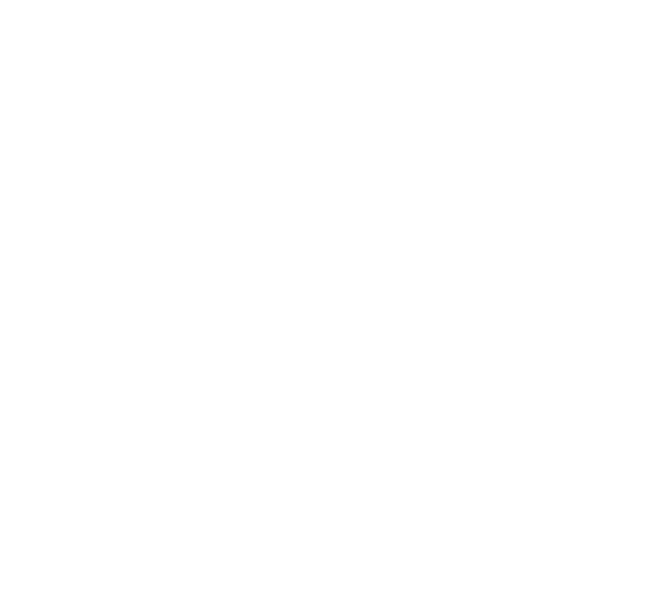 rinsernaturstein.de